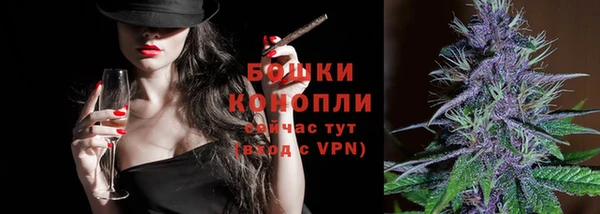 крисы Белокуриха